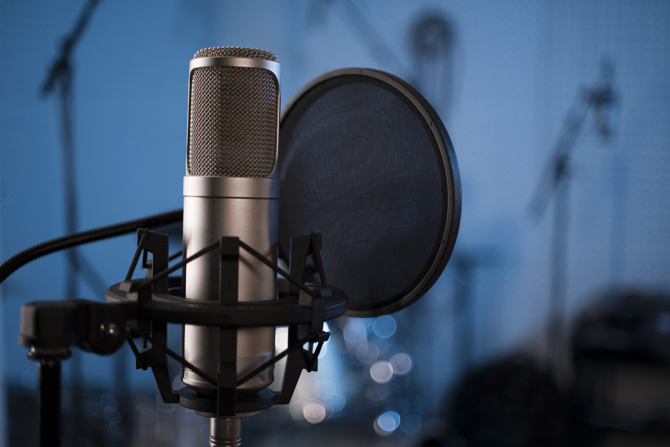 Professional Studio Microphone with a Pop Filter in Front of a Blurred Background